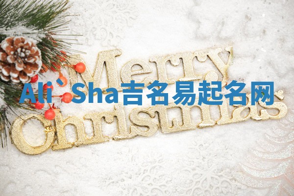 Ali`Sha吉名易起名网